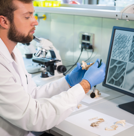 Life Sciences